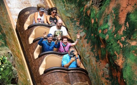 Disney scare unfolds after teen exits log ride moments before 50-foot plunge