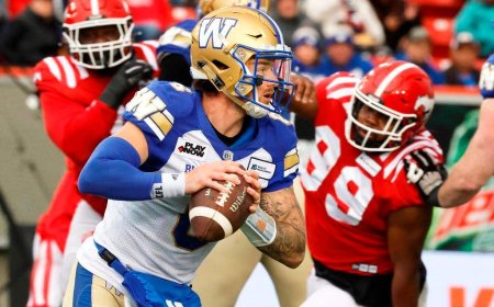 Winnipeg Blue Bombers reacquire quarterback Dru Brown in trade