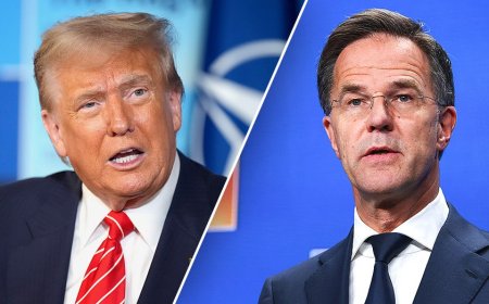 NATO Secretary Mark Rutte praises Trump's Iran strategy, addresses president's frustration with allies