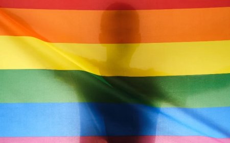 Brazilian Couple Sentenced To 50 Days In Jail For Homeschooling Without Gender Brainwashing Propaganda