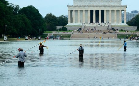 CNN, MS NOW do hours of coverage on covering Reflecting Pool drama