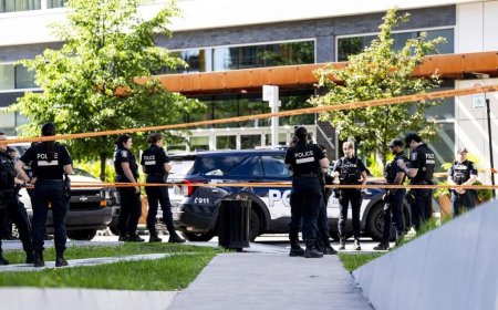Policing safer now than in previous decades despite recent officer deaths: expert