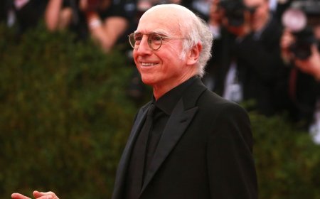 Larry David slams Trump's White House UFC fight, says it made him 'embarrassed to be an American'
