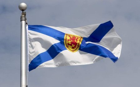 Progressive Conservatives win byelection in new N.S. Acadian riding in Cape Breton