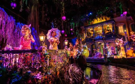 13-year-old falls 15 metres after exiting moving Disneyland ride