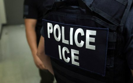 ICE opens up new front in war on fraud with new first-of-its-kind policy: 'On notice'