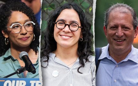 Rising socialist stars on track to Congress: Who are Darializa Avila Chevalier, Brad Lander and Claire Valdez?