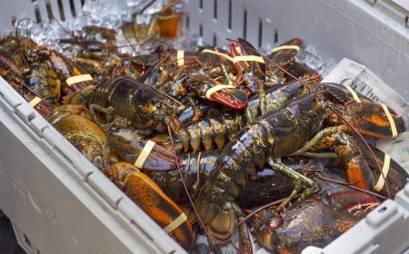 Nova Scotia launches three-year plan to expand its $2.2-billion seafood industry