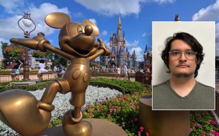 Illegal immigrant who entered US on visa to visit Disney World arrested after overstaying a decade, sex crime