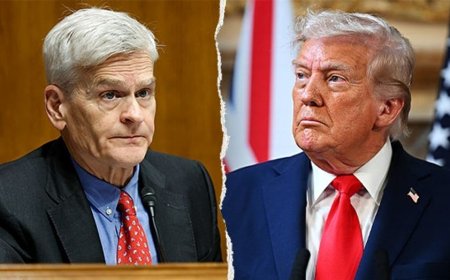 ‘He named names’: Trump’s Senate meeting explodes into shouting match over Iran
