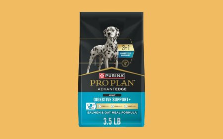 The Curator: Amazon Prime Day pet picks you don’t want to miss