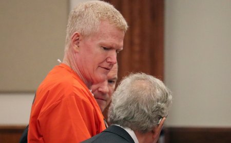 Alex Murdaugh defense points to unknown male DNA in push for new testing
