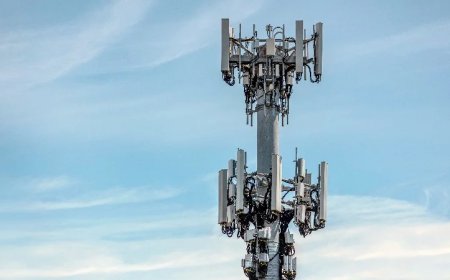 Verizon Wants To Install A Cell Tower Near Their Homes, But They’re Fighting Back, With Help From Children’s Health Defense