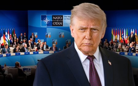 Most Trump supporters still back NATO despite years of Trump's criticism, new poll finds
