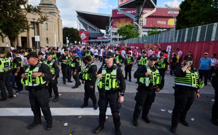 Toronto bylaw officers issue almost 100 charges to businesses over FIFA branding violations