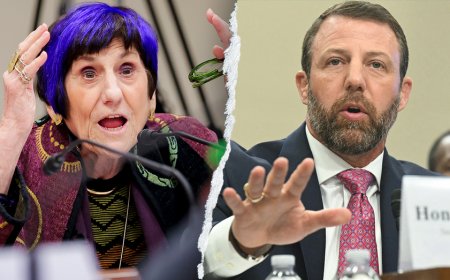 WATCH: Hearing derails as purple-haired Dem points finger, screams at chair to put DHS chief 'in his place'