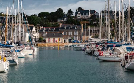 FRANCE: ‘African Teen’ Claiming to be 10 Years Old Arrested for Attempted Rape, Murder in Stabbing of Female Jogger