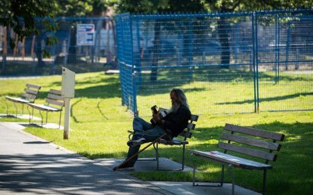 It has been 5 years since B.C.’s deadly heat dome when more than 600 died