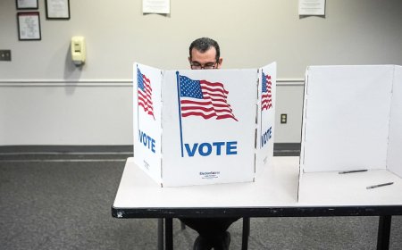 French citizen who illegally cast ballot in 2022 midterms says New Jersey automatically registered him to vote