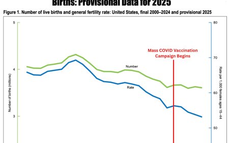 BREAKING: U.S. Fertility Rate Collapses to Lowest Level Ever Recorded