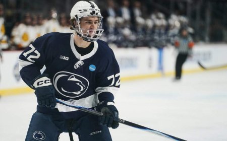 Maple Leafs hold top pick in NHL Draft
