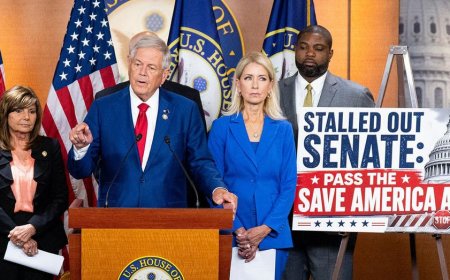'It's a mess': GOP turns on House conservatives as voter ID blockade stalls Trump's agenda