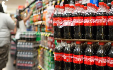 SEE IT: SNAP advocate defends taxpayer-funded Coca-Cola in fiery exchange with GOP lawmaker on waste