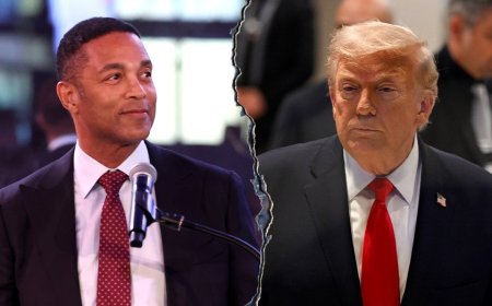 Ex-CNN anchor Don Lemon agrees Trump played liberal network 'like puppets'