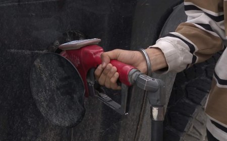 Oil prices plummet on hopes of increased supply, high gasoline prices persist