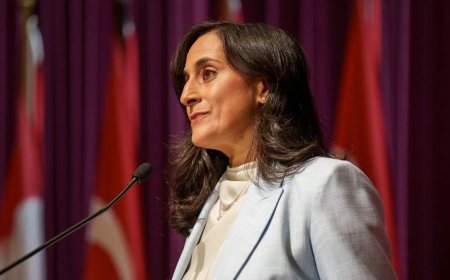 Canada has no plans to open embassies in Venezuela and Iran, Anand says