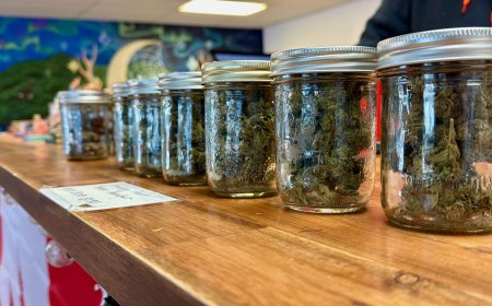 Nova Scotia rolls out new cannabis rules, but Mi’kmaq group defends economic rights