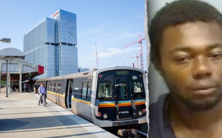 Death of great-grandmother brutally killed on train triggers federal action