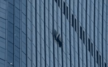 Video shows gaping hole after small plane crashes into towering skyscraper