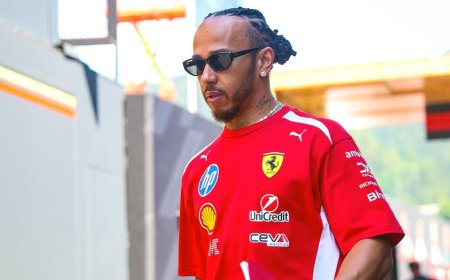 F1 star Lewis Hamilton reveals that he suffered a serious neck injury in a testing crash