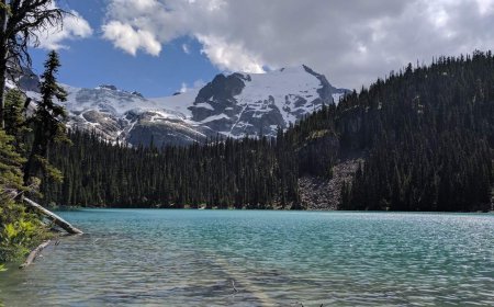 B.C. lawyer says closure of Joffre Lakes Park potentially violates Canadian Charter