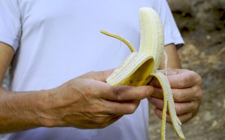 Green bananas aren't necessarily bad — experts explain the hidden health perk