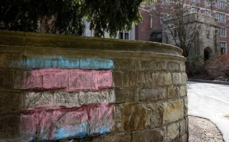 All-women's school Wellesley College responds to accusations of admitting biological male trans students