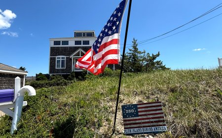Massachusetts homeowners stunned after town warns July 4 flags threaten endangered birds
