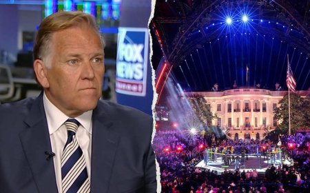 Former House intel leader points to Dem rhetoric 'encouraging' violence as 8th man charged in UFC terror plot