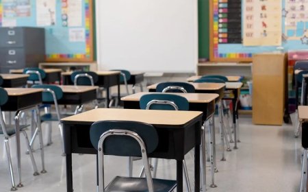 Georgia district quietly trained teachers to blame 'Whiteness,' 'decolonize' under federal crackdown: report