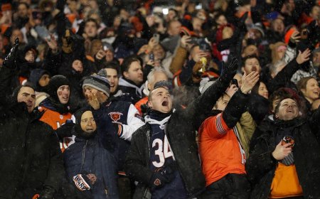The Chicago Bears are getting a Hallmark movie, and here's a very good idea for the plot
