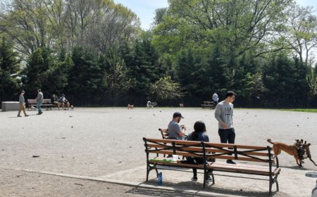 Man dead, another critical after double stabbing at Brooklyn park as police detain person of interest: NYPD