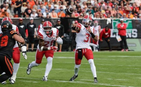 Stampeders spoil Lions’ party with 41-33 win