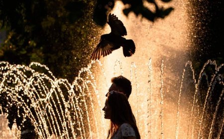 France records around 1,000 additional deaths amid extreme heat wave leading to European records