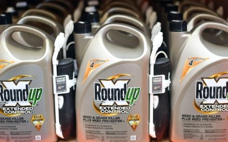 Supreme Court Sides with Roundup Maker in Massive Cancer Lawsuit