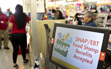 SNAP food stamp fraud has nefarious terrorism links, top Agriculture watchdog warns Congress