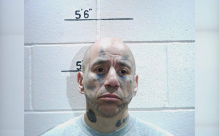 Convicted violent offender with high risk to re-offend released back into Winnipeg: police