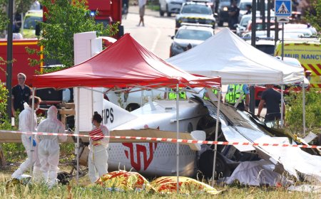 Skydiving plane crashes in France killing 11: officials