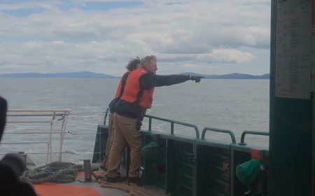 Four rescued from water near Vancouver airport, search ongoing