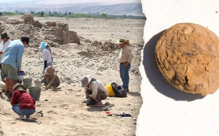 Archaeologists uncover freeze-dried potatoes older than the US in 'excellent' condition